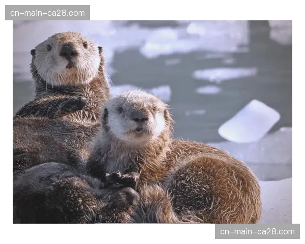 海獭经典赛速降赛：在干燥多尘的赛道上，经验丰富的老将笑到最后